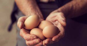 5 benefícios do ovo que você deve saber 