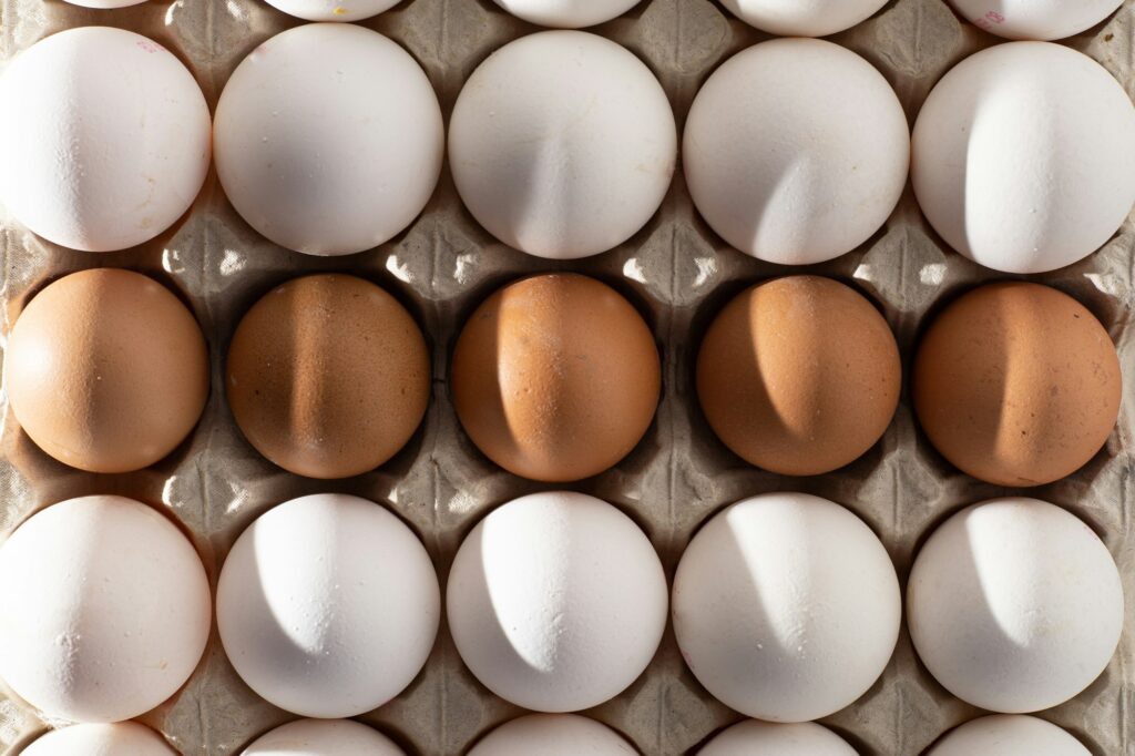 Eggs background. The eggs are white and brown. Protein food. Eco and organic